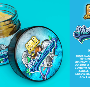 Gold Coast Clear Premium Concentrates Launch Edition